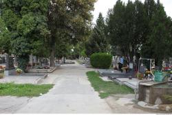 Photo of Mixed Textures